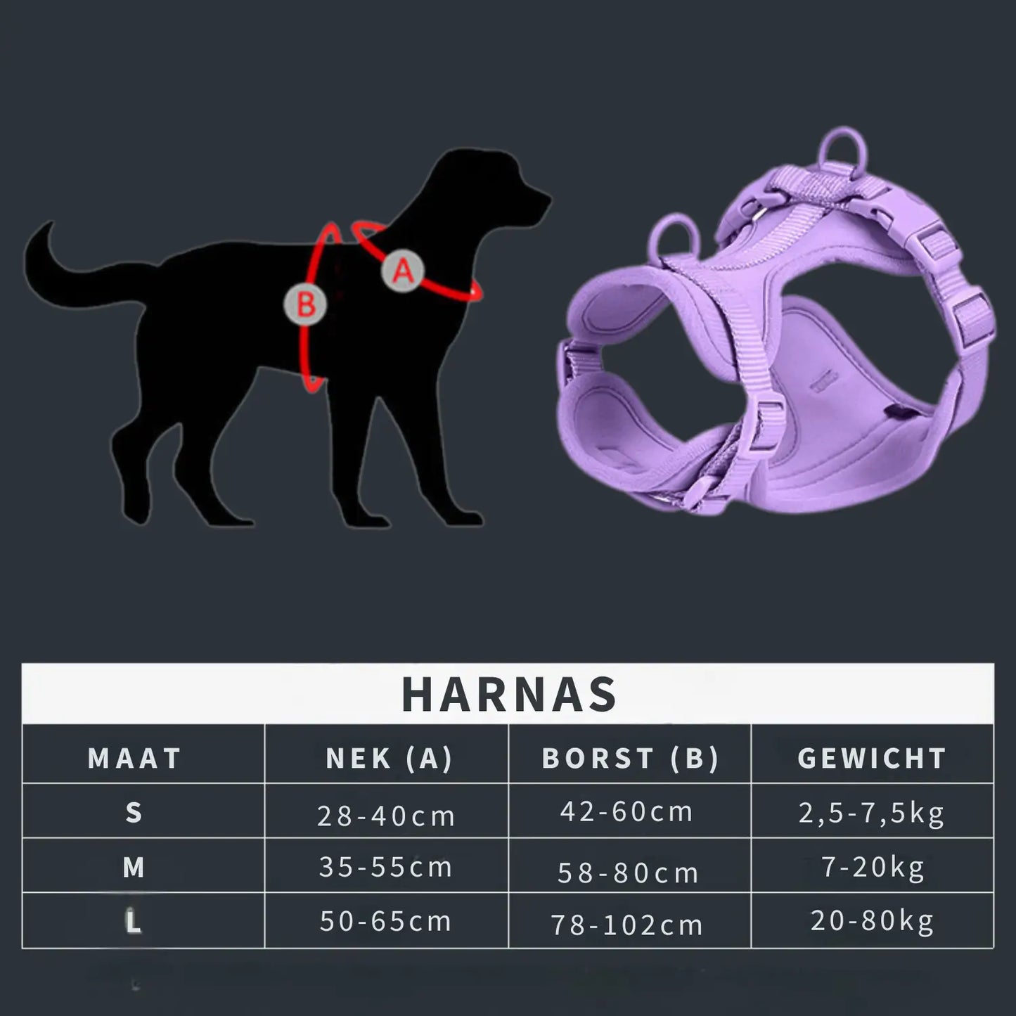 Dog Harness Set | Waterproof Hands-Free Walking 4-in-1 Set