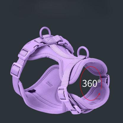 Dog Harness Set | Waterproof Hands-Free Walking 4-in-1 Set