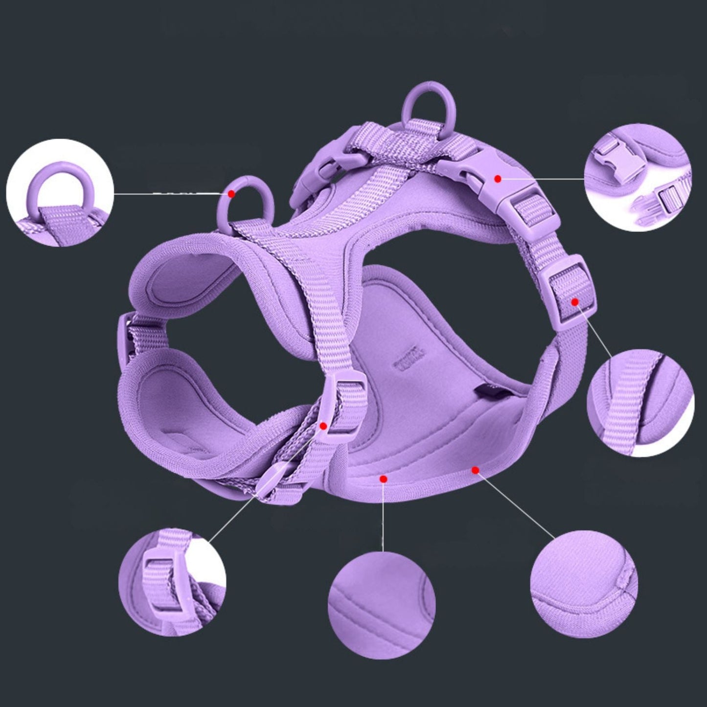 Dog Harness Set | Waterproof Hands-Free Walking 4-in-1 Set