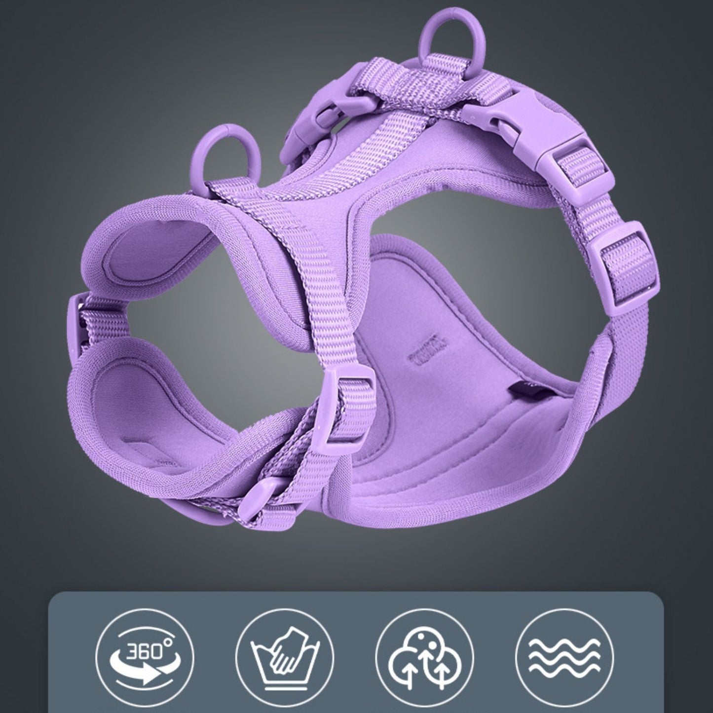Dog Harness Set | Waterproof Hands-Free Walking 4-in-1 Set