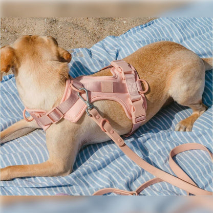 Dog Harness Set | Waterproof Hands-Free Walking 4-in-1 Set
