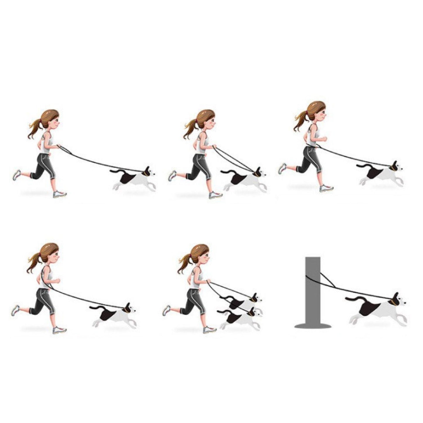 Dog Harness Set | Waterproof Hands-Free Walking 4-in-1 Set