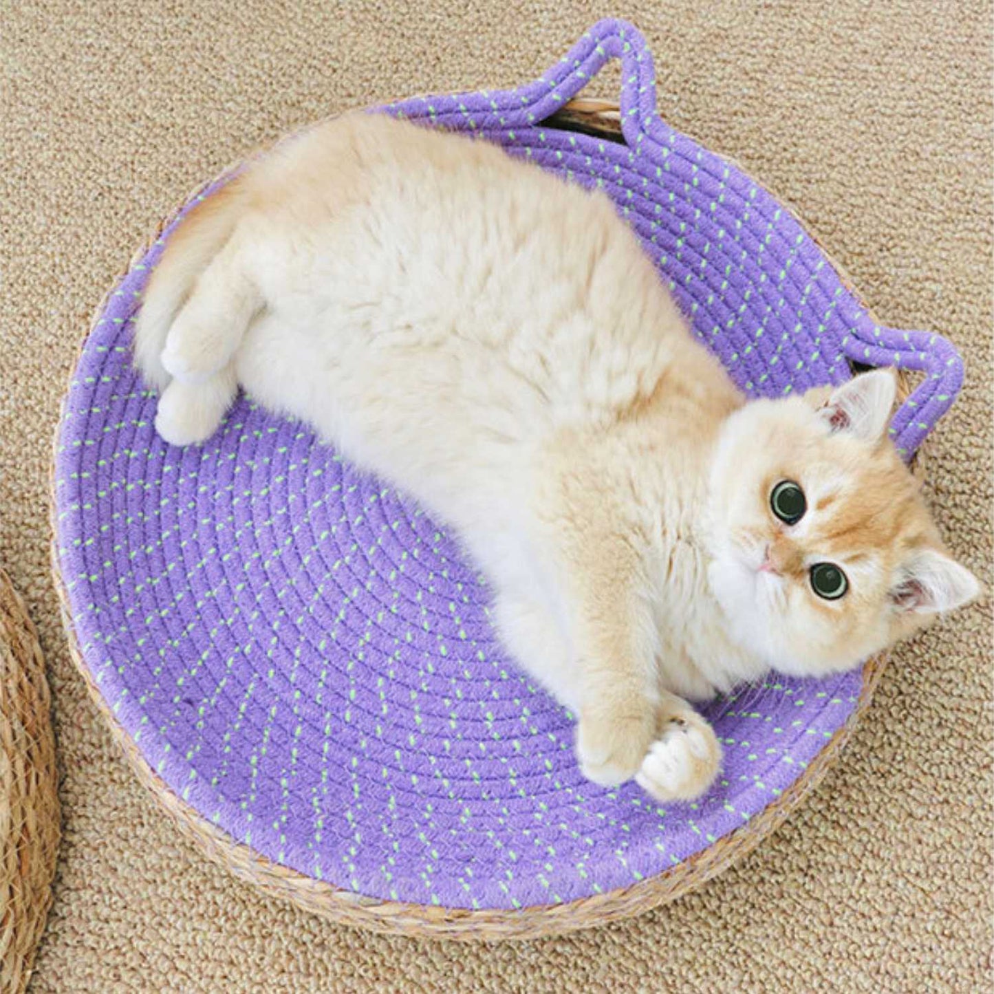 Cat Bed & Scratching Board | Durable Scratcher & Comfortable Nest