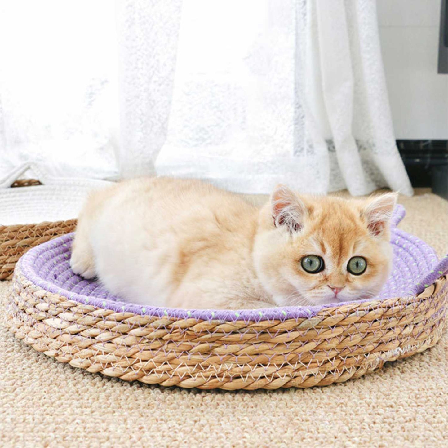 Cat Bed & Scratching Board | Durable Scratcher & Comfortable Nest